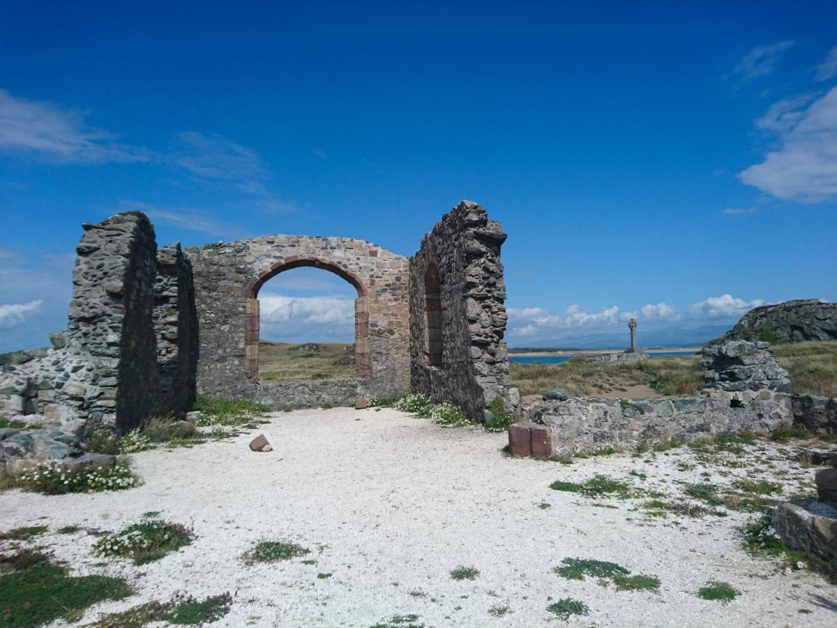 Y Goedwig Daire Llanfairpwllgwyngyll Dış mekan fotoğraf